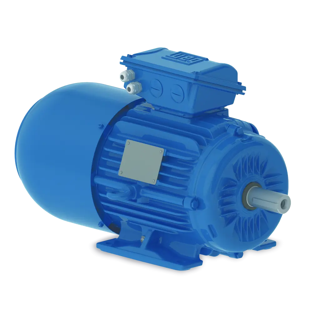 W22 Brake Motors
